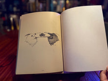 Load image into Gallery viewer, ProgCore Fantasy: Dark age of Theer Limited Numbered Garycon Special Edition