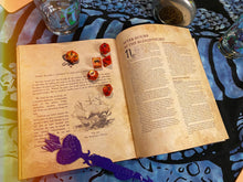 Load image into Gallery viewer, SIGNED COPY Mystic Libations: Critical Cocktails for the Thirsty Adventurer